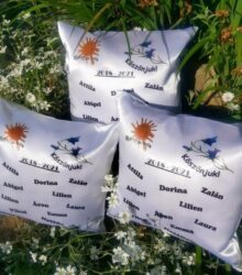 195121744_106996464845244_2037110753476657166_n